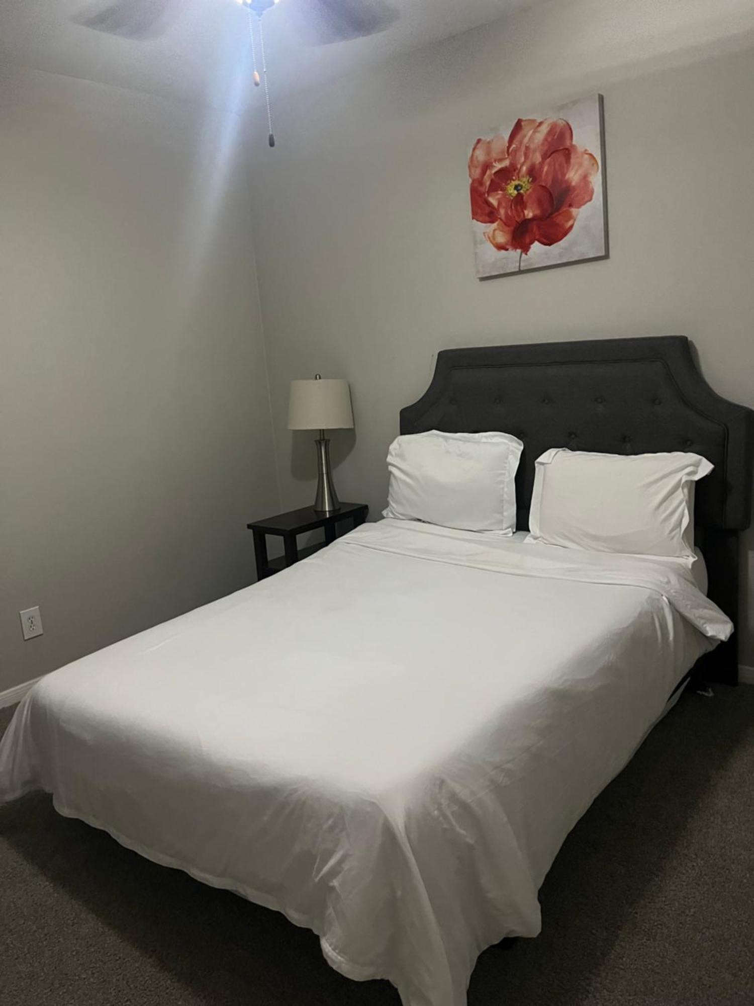 Resort Style Apt/Home In Houston Medical Centre 部屋 写真